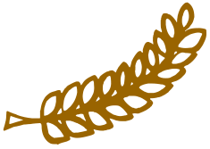 Een rechtervleugel in het goud van het Cum Laude-logo